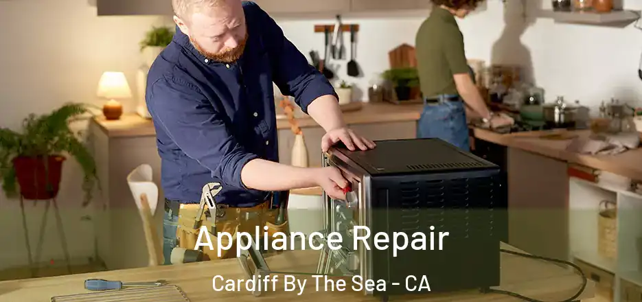  Appliance Repair Cardiff By The Sea - CA