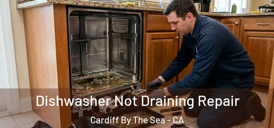  Dishwasher Not Draining Repair Cardiff By The Sea - CA