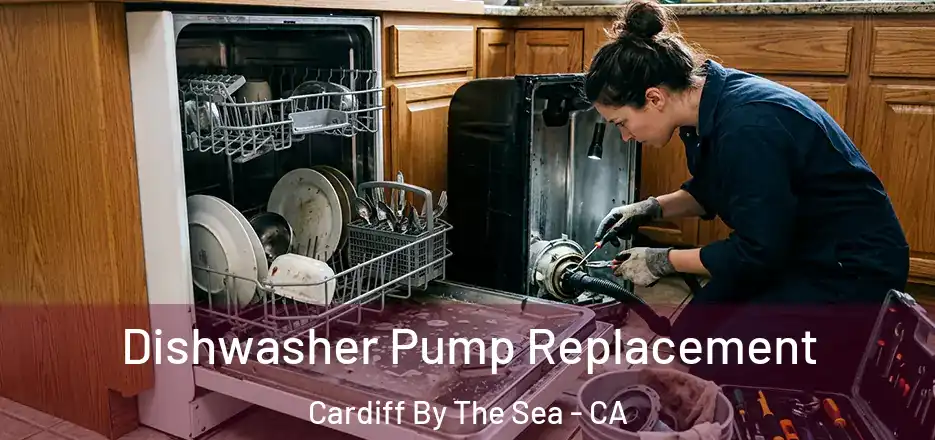  Dishwasher Pump Replacement Cardiff By The Sea - CA