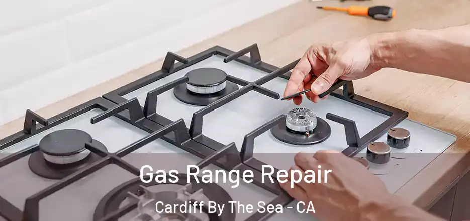  Gas Range Repair Cardiff By The Sea - CA