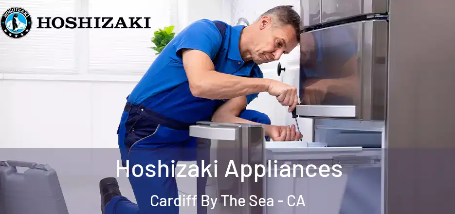  Hoshizaki Appliances Cardiff By The Sea - CA