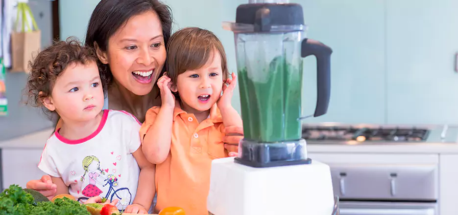 Juicer and Mixer Blender Repair in Cardiff By The Sea 