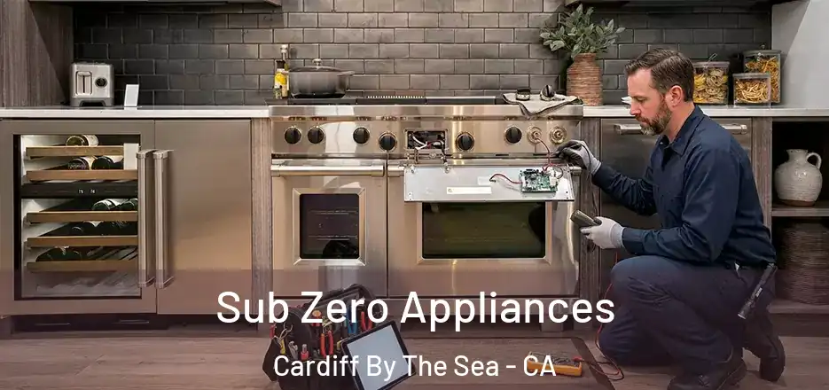  Sub Zero Appliances Cardiff By The Sea - CA