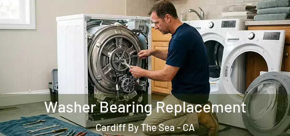  Washer Bearing Replacement Cardiff By The Sea - CA