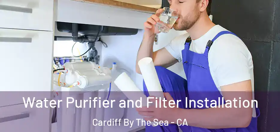  Water Purifier and Filter Installation Cardiff By The Sea - CA
